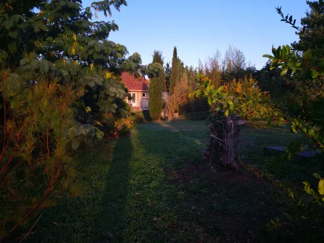 automne antre des vices