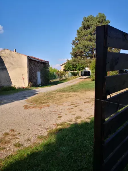 automne antre des vices