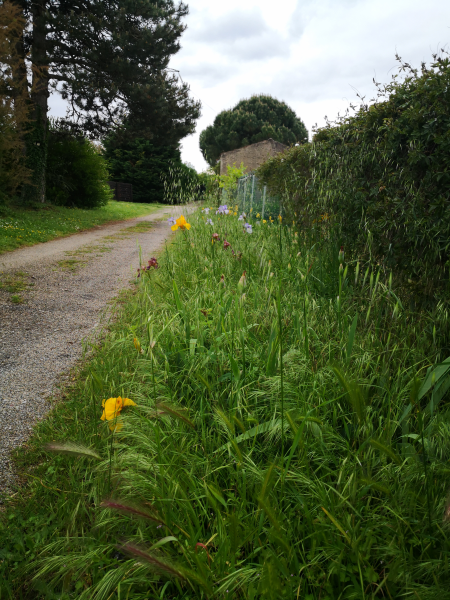 printemps antre des vices