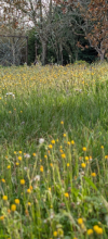La toile d'araign&eacute;e du Jardin Des Tentations au milieu des fleurs - Antre Des Vices, gites BDSM proche de Valence