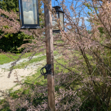 Eclairage d'ambiance dans le Jardin Des Tentations au printemps - Antre Des Vices, gites BDSM proche de Valence